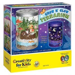 front of box of grow n' glow terrarium