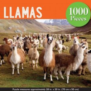 front of llamas puzzle box herd of llamas with mountains in background