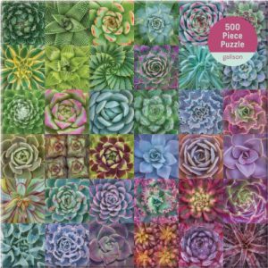 front of succulent spectrum puzzle