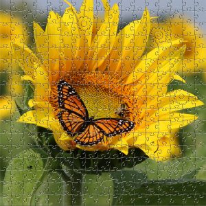 sunflower wooden puzzle with butterfly