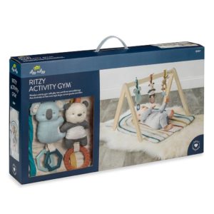 Ritzy activity gym
