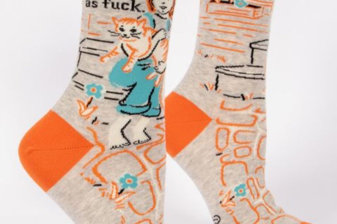 Socks Cat is Cool