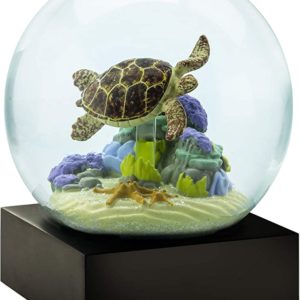 Snow Globe Turtle