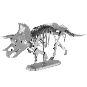 Triceratops skeleton