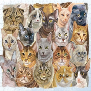 Cats & Dogs cat side