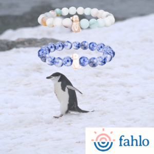 penguin in snow with 2 bracelets from Fahlo