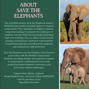 save the elephants foundation details