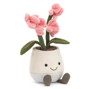 pink orchid flower and green leaves in a cream pot plush