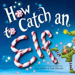 How to Catch an Elf book