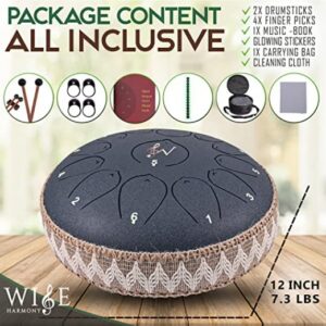 streel drum infographic 4